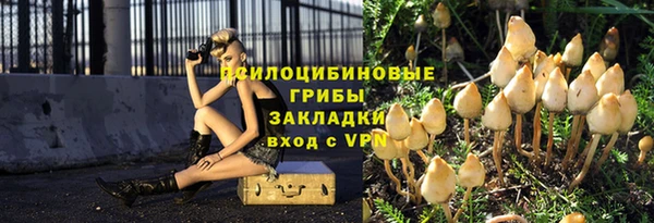 мяу мяу мука Алексеевка