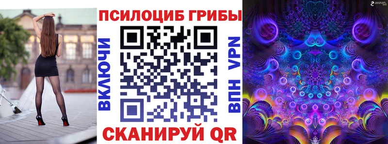 продажа наркотиков  Шахунья  Псилоцибиновые грибы GOLDEN TEACHER 